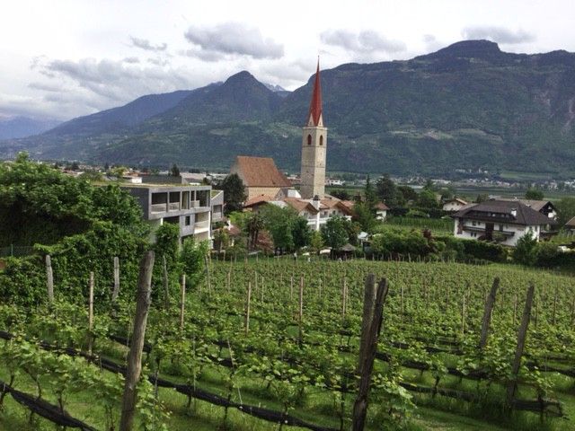 Golfhotel Golf-Boutique-Hotel Ballguthof neben dem Golfplatz 