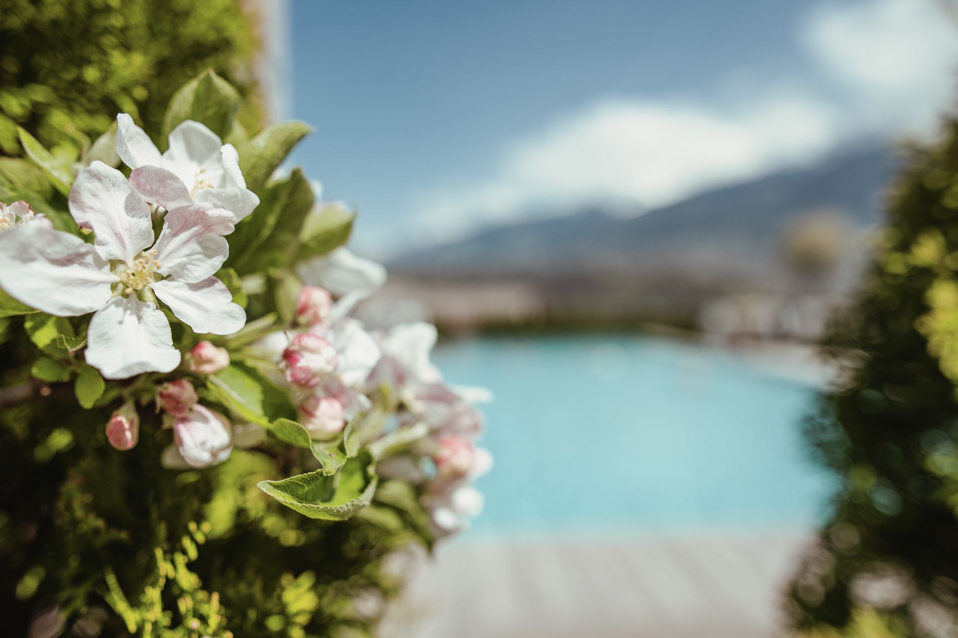 Golfhotel La Maiena Meran Resort