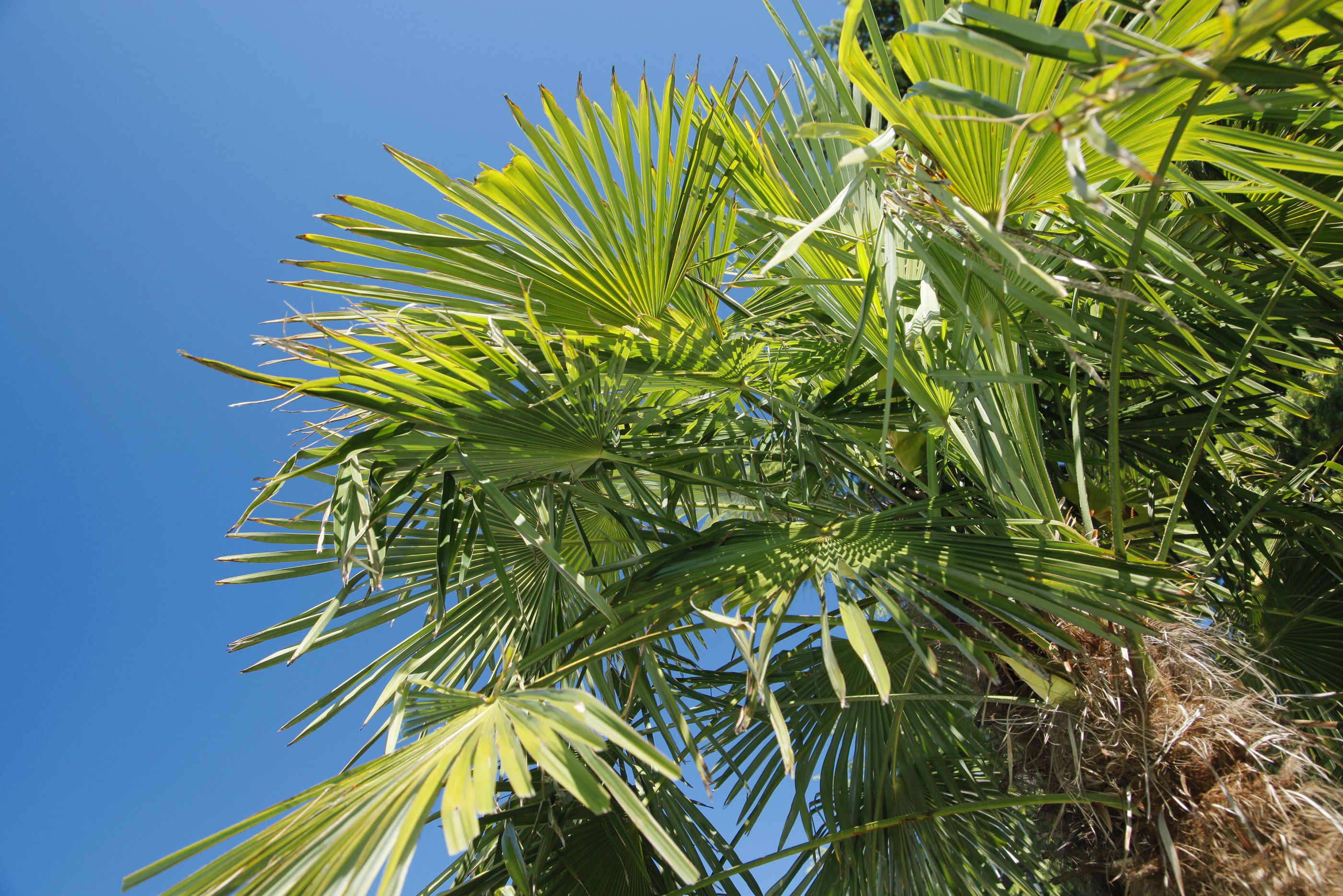 Golfhotel Jardis Boutique Hotel - Adult only