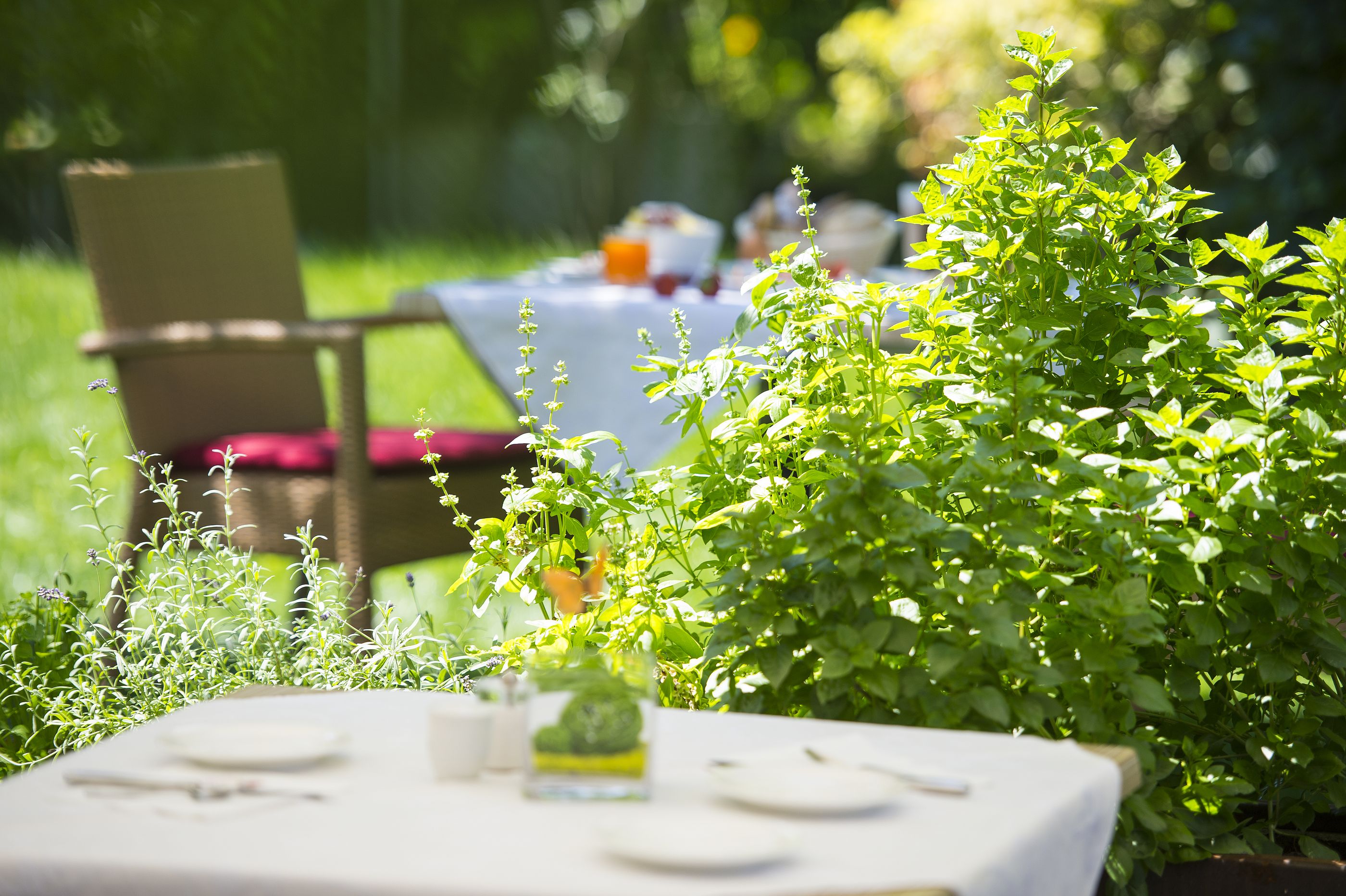 Golfhotel Jardis Boutique Hotel - Adult only