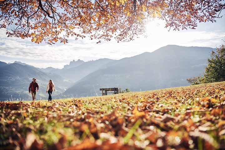 Autunno dorato all'ALPIANA