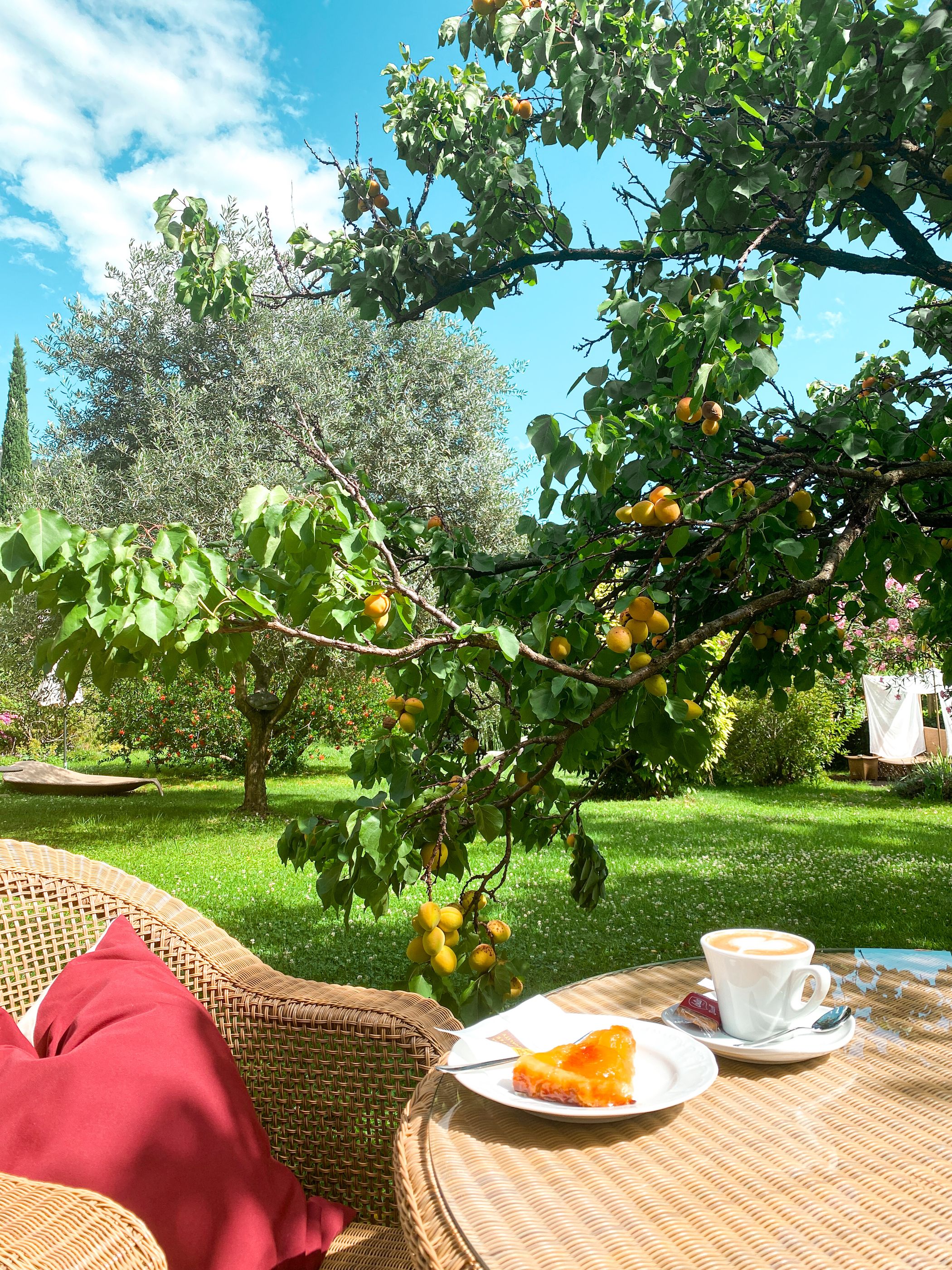 Golfhotel Das Gartenresidence Zea Curtis